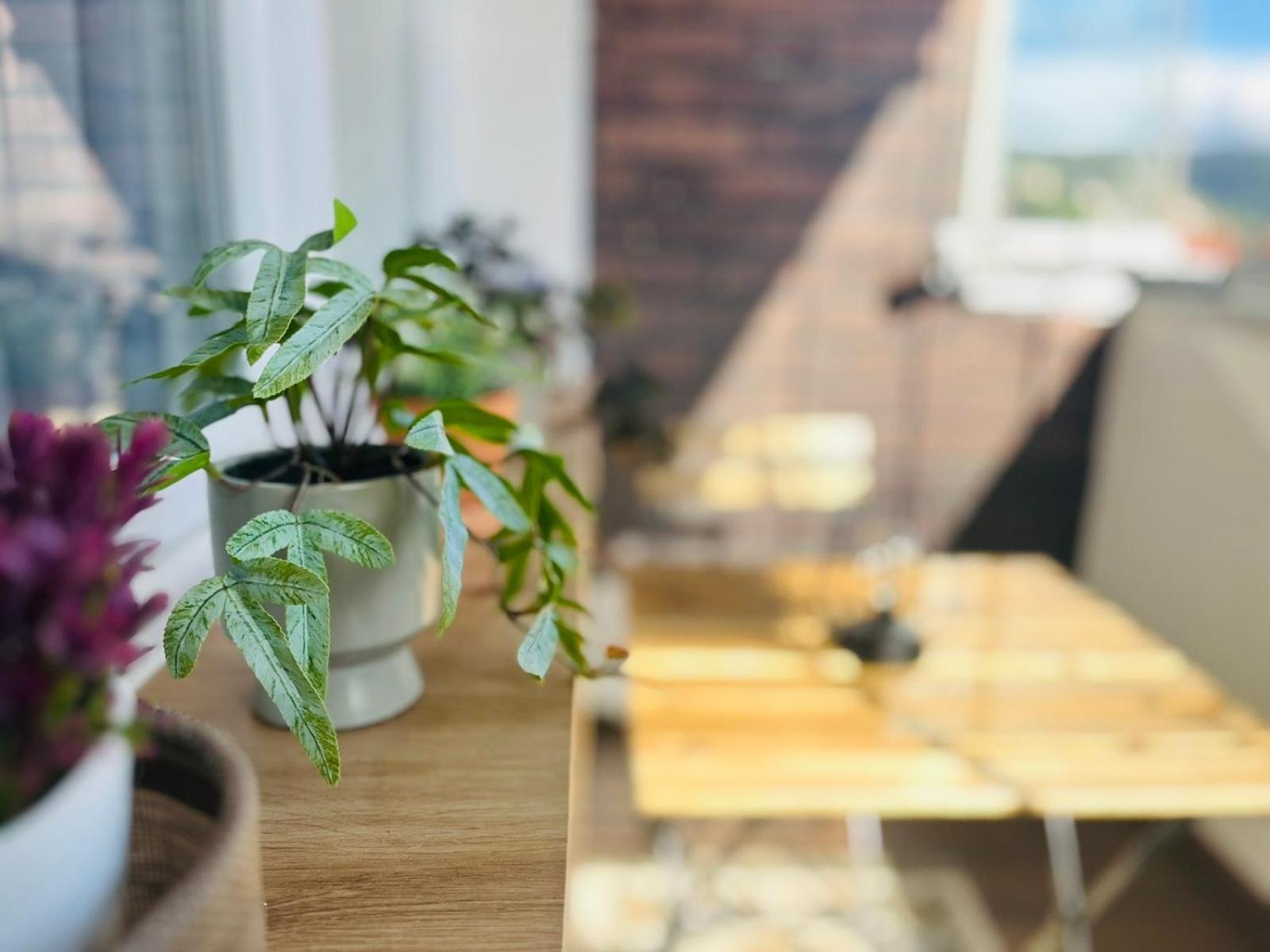 Mak Apartment - Free Parking - Balcony Сараєво Екстер'єр фото